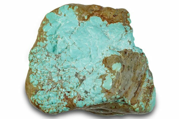 Tumbled Turquoise Specimen - Number Mine, Carlin, NV #260506